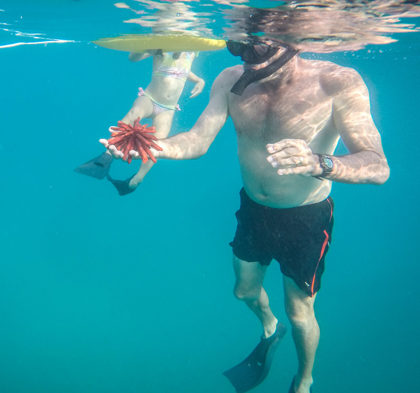 TheSnorkelStore6 The Snorkel Store