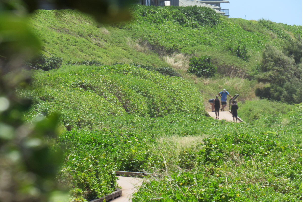 thesnorkelstoremauikapaluacoastaltrail1 The Snorkel Store