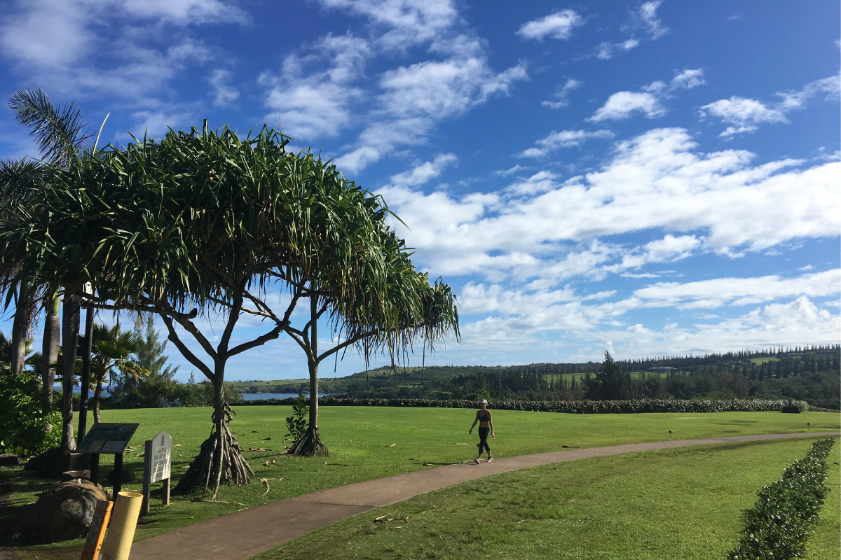 thesnorkelstorekapaluacoastaltrail3 The Snorkel Store