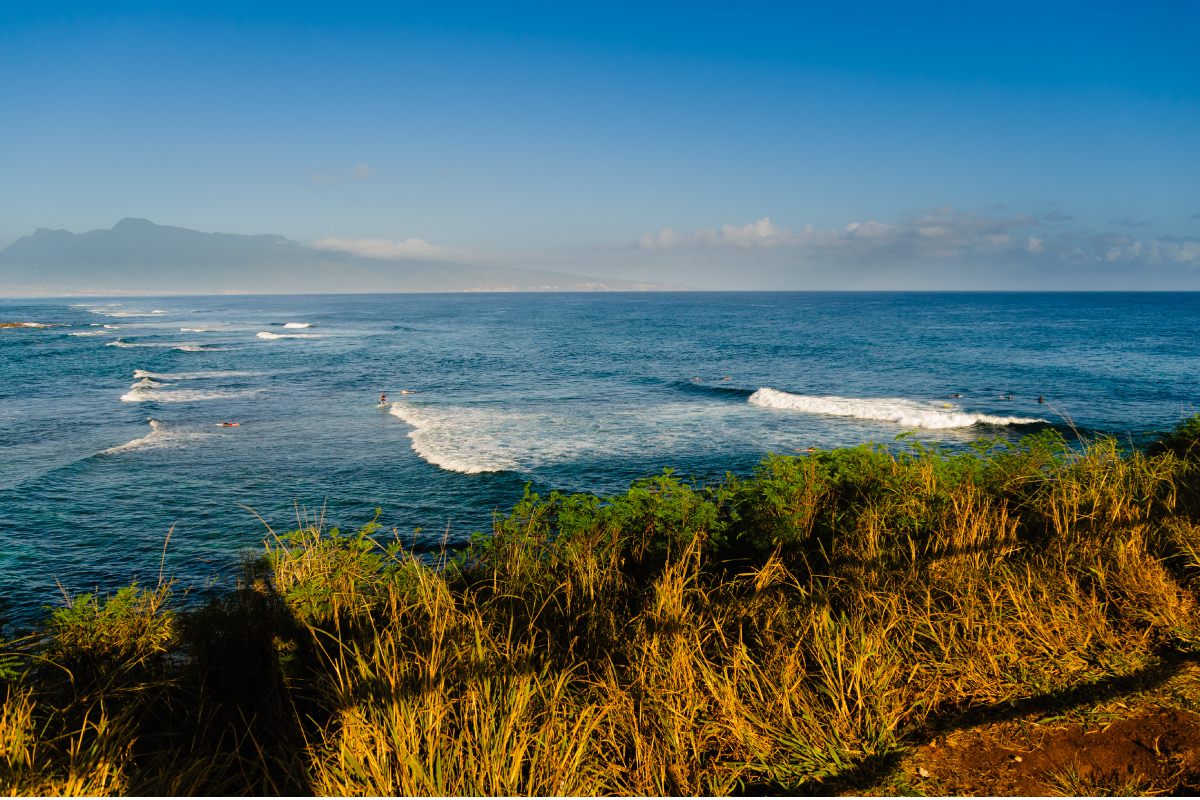 Things To Do In Paia and Maui's North Shore