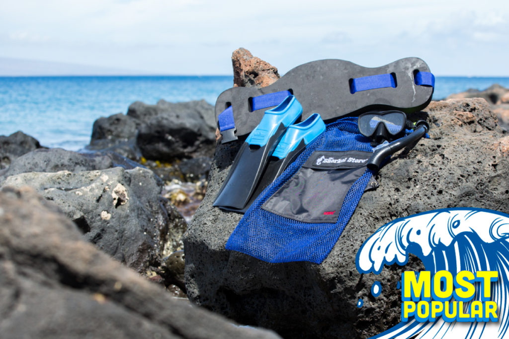 Maui Snorkel Combo Rental The Snorkel Store 2For1 Promo