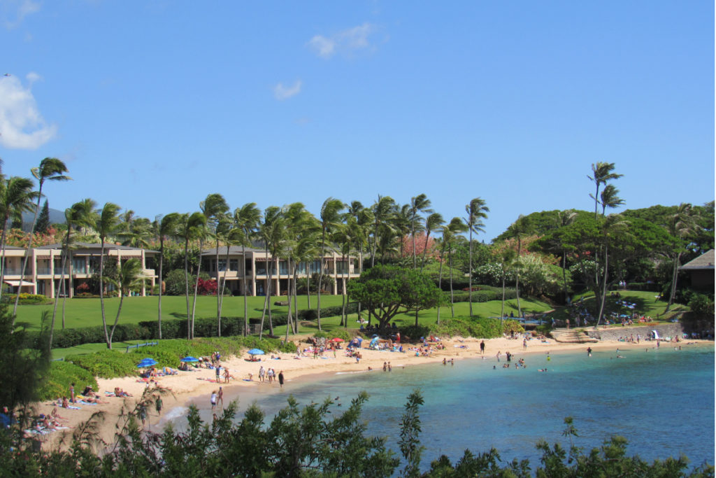 kapaluabaythesnorkelstore6web The Snorkel Store