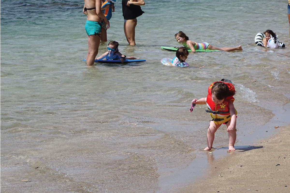 babybeachthesnorkelstoremaui35 The Snorkel Store