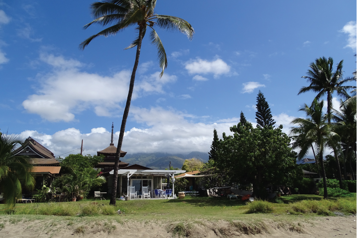 babybeachthesnorkelstoremaui7 The Snorkel Store