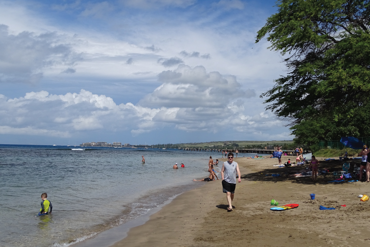 babybeachthesnorkelstoremaui10 The Snorkel Store