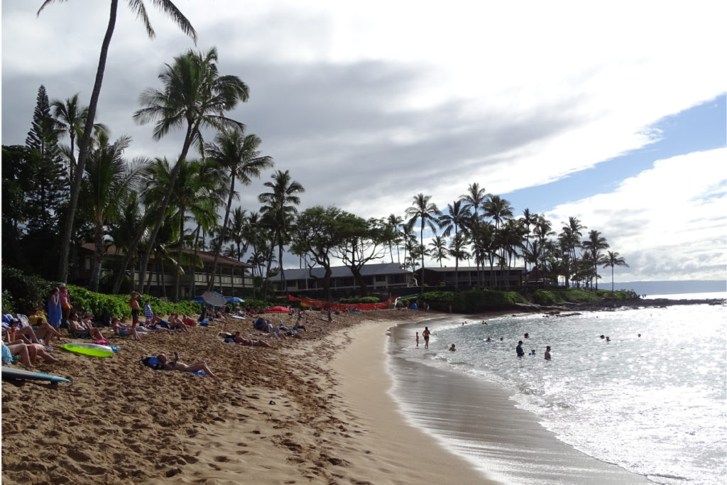 thesnorkelstorenapilibay13 The Snorkel Store
