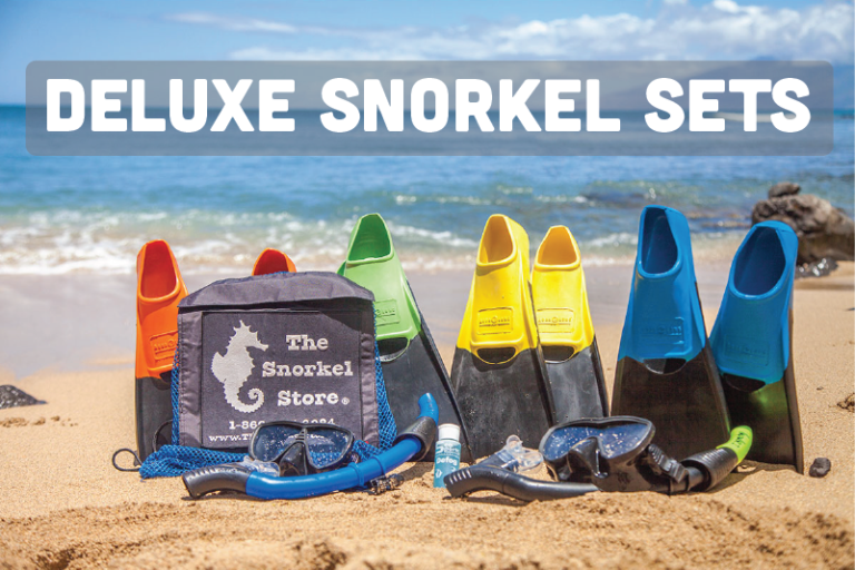 Maui Snorkel Combo Rental The Snorkel Store 2For1 Promo