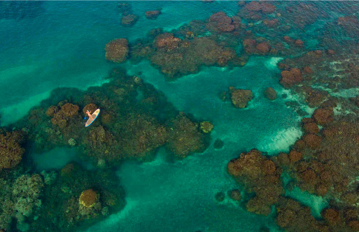 OlowalusnorkelinginMauiaerial The Snorkel Store